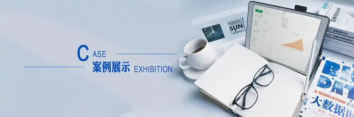 金川县软件开发